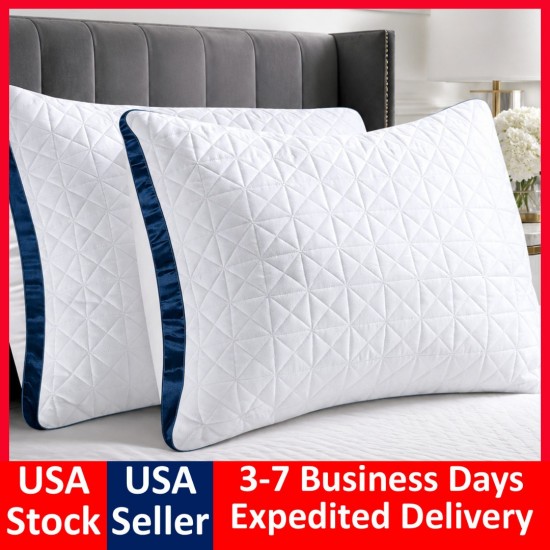 Down Alternative Overstuffed 2-Pack Pillows, King-Navy/teal
