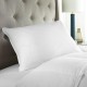 Down Alternative Overstuffed 2-Pack Pillows, King-Navy/teal