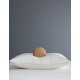 PREMIUM DOWN PILLOW STANDARD COTTON DUCK MEDIUM