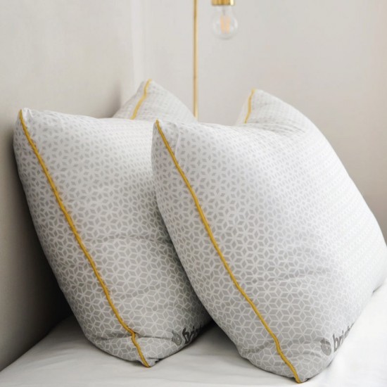 Eclipse Pillow 2 pack