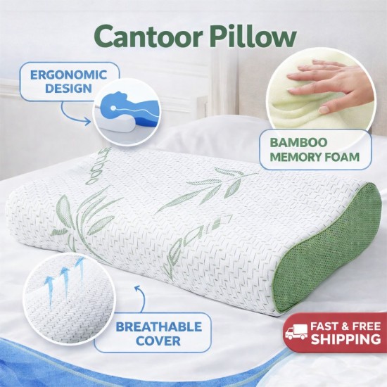 Eclipse Pillow 2 pack