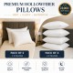 Luxury Hotel Quality Box Pillows-Hollow Fiber Extra Filled Cotton