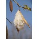 Home 1Pcs 48 * 74cm Natural Silk Filled Fiber Pillow 150g Natural Silk Quilted
