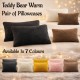 Teddy Bear Fleece Pair of Pillowcases Soft Cozy and Warm Pillow Covers 50
